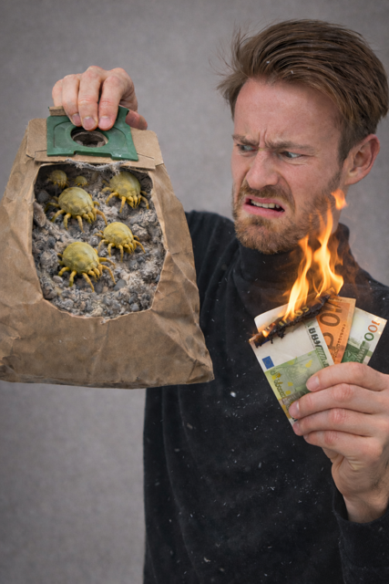 Mittel (1F1B8894-F2E8-498F-A9BA-666C784D4378)